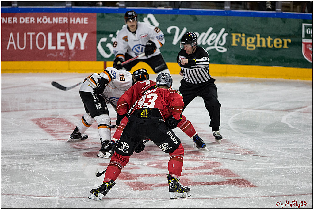 DEL, Koelner Haie - Grizzlys Wolfsburg, 12.03.2017